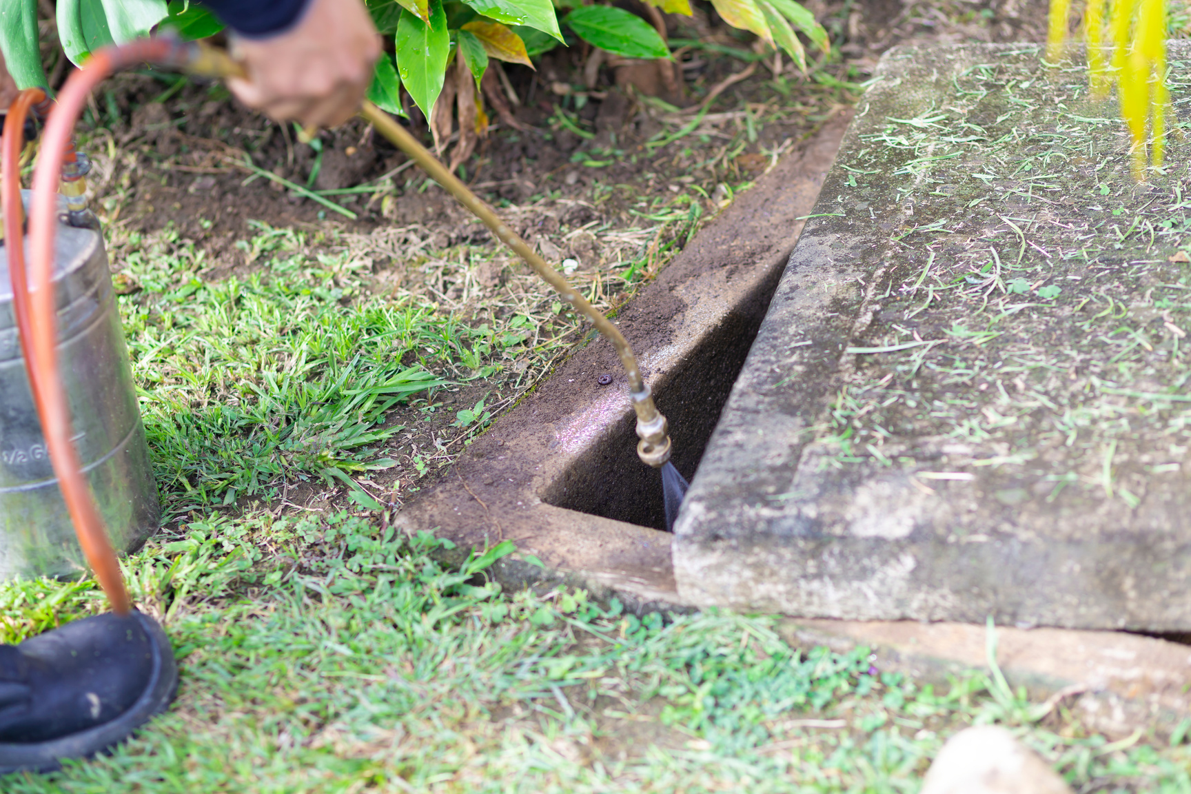 Treatment, Pest Control, Fumigation